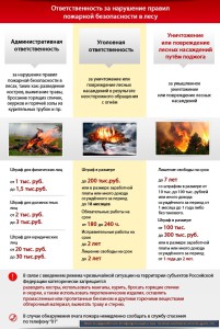 Ответственность пожарная безопасность