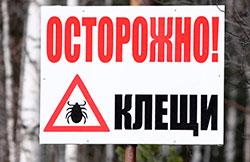 клещ